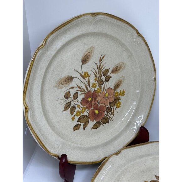 VTG Endura Collection Festive Stoneware Plates Japan Set of 5 Floral 10" - 7.25" - Picture 2 of 9